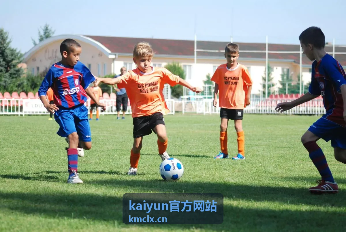 kaiyun官方网站方案框架封面