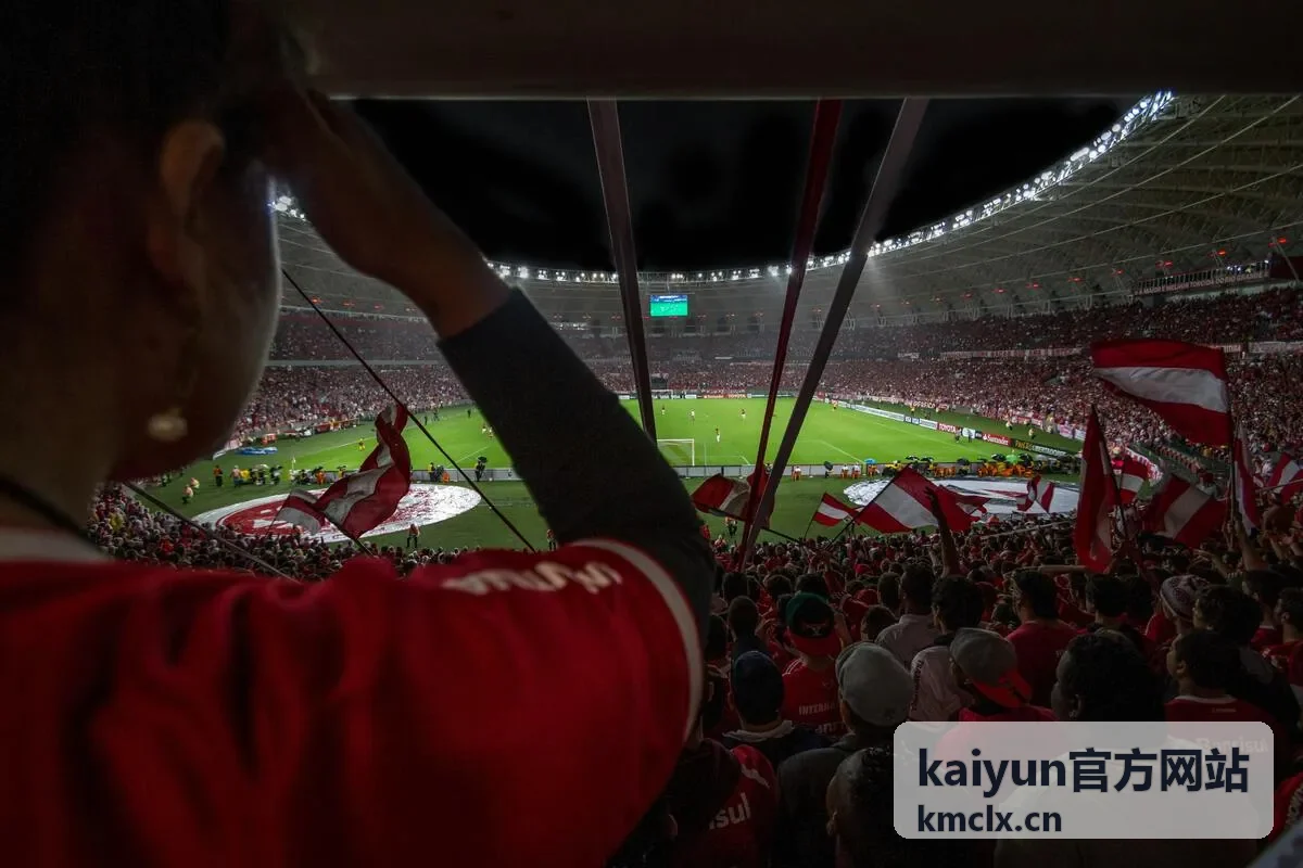 kaiyun官方网站数据治理主题封面
